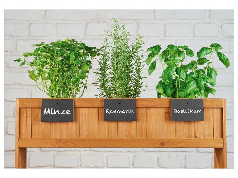 Minze, Rosmarin und Basilikum in einem Holz-Pflanzkasten.