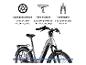 E-Bike mit Scheibenbremsen, Trekkingsattel und Federgabel.
