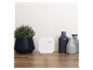 Weißes Smart-Home-Gerät neben einer Pflanze und dekorativen Vasen auf einer Holzoberfläche.