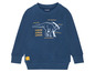 Ein dunkelblauer Pullover mit einem Dinosaurier-Druck und dem Text 'Parasaurolphus'.