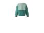 Zweifarbiger grüner Langarm-Kinderpullover, Rückansicht.