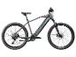 Graues elektrisches Mountainbike mit roten Akzenten und schwarzen Profilreifen.