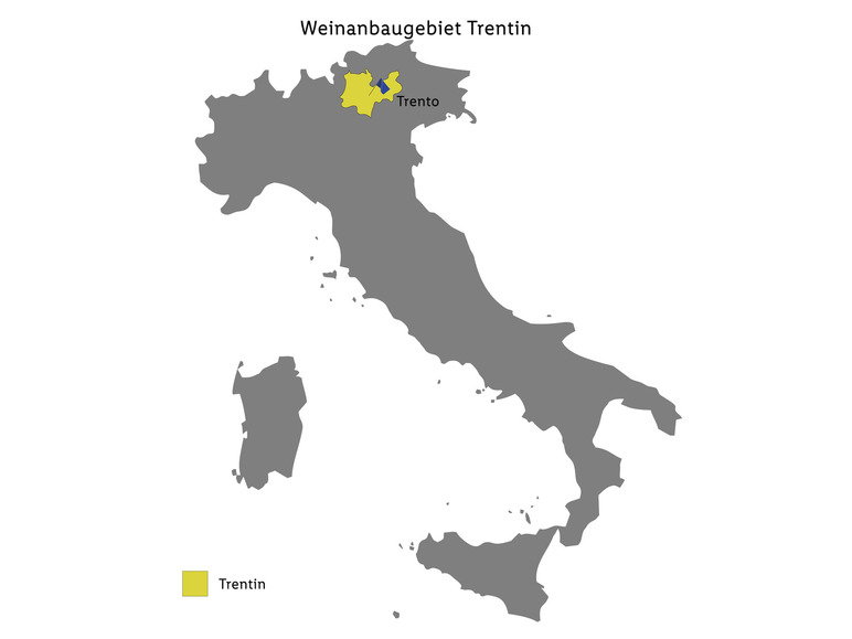 2022 Lagrein Gaudenzio trocken, Trentino DOC Rotwein