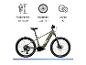 Grünes E-Bike mit Informationen zur Körpergröße (160-185 cm), Radgröße (27,5 Zoll) und 10 Gängen.