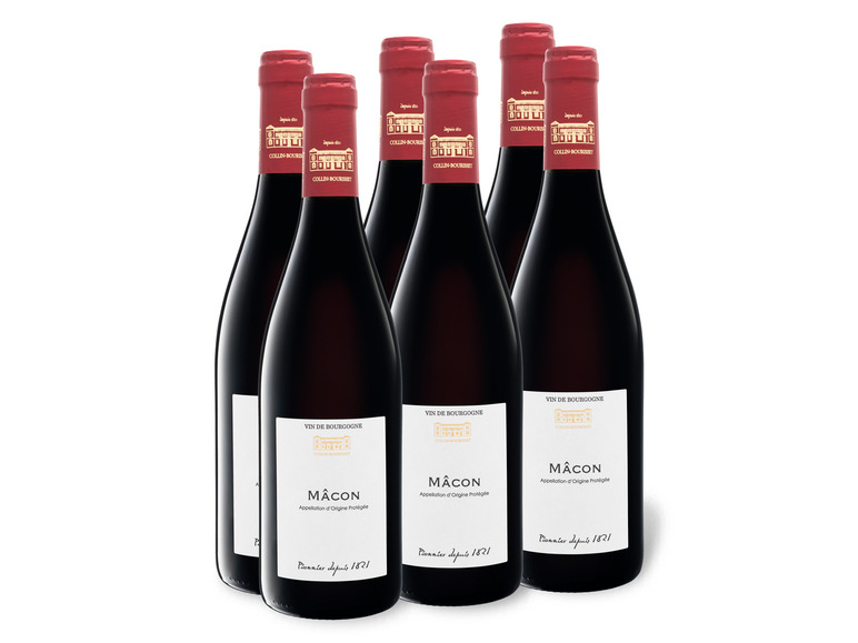 Gehe zu Vollbildansicht: 6 x 0,75-l-Flasche Weinpaket Collin Bourisset Mâcon AOP trocken, Rotwein - Bild 1