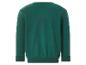 Grünes Langarm-Sweatshirt, Rückansicht.