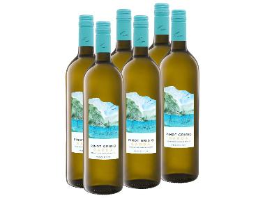 6 x 0,75-l-Flasche Weinpaket Pinot Grigio Garda DOP trocken, Weißwein