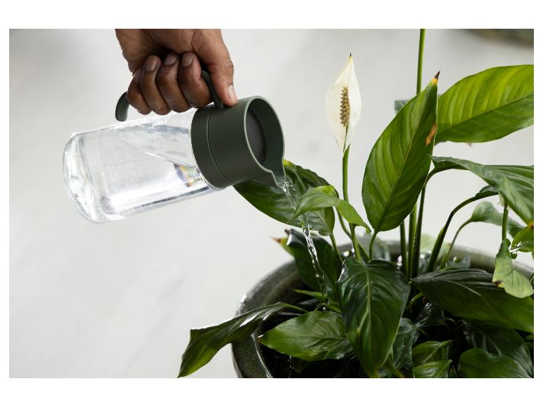 Person gießt eine Zimmerpflanze mit einer weißen Blüte mit einer transparenten Gießkanne.