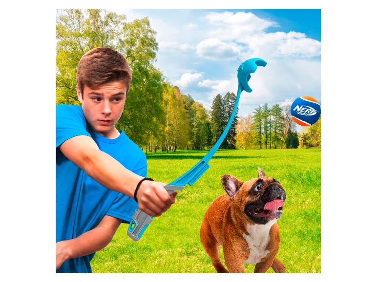 Junge spielt mit Hund und Ballwerfer im Park.