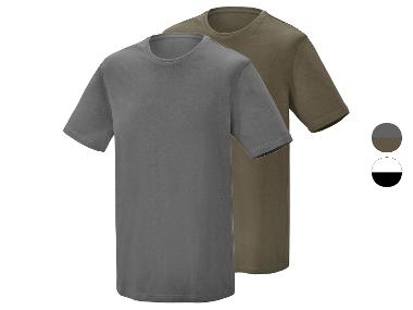 PARKSIDE® Herren T-Shirts, 2 Stück