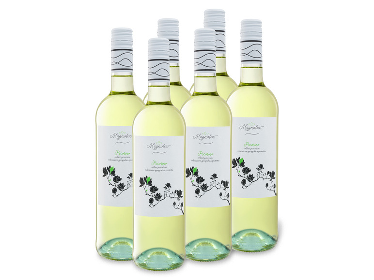 Gehe zu Vollbildansicht: 6 x 0,75-l-Flasche Weinpaket Magnolia Pecorino Colline Pescaresi IGP trocken, Weißwein - Bild 1