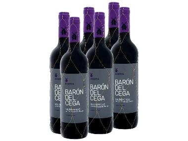6 x 0,75-l-Flasche Weinpaket Barón del Cega Valdepenas DO Reserva trocken, Rotwein