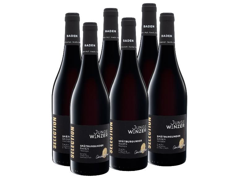 6er-Set Junge Winzer Selection Spätburgunder QbA trocken Rotwein.