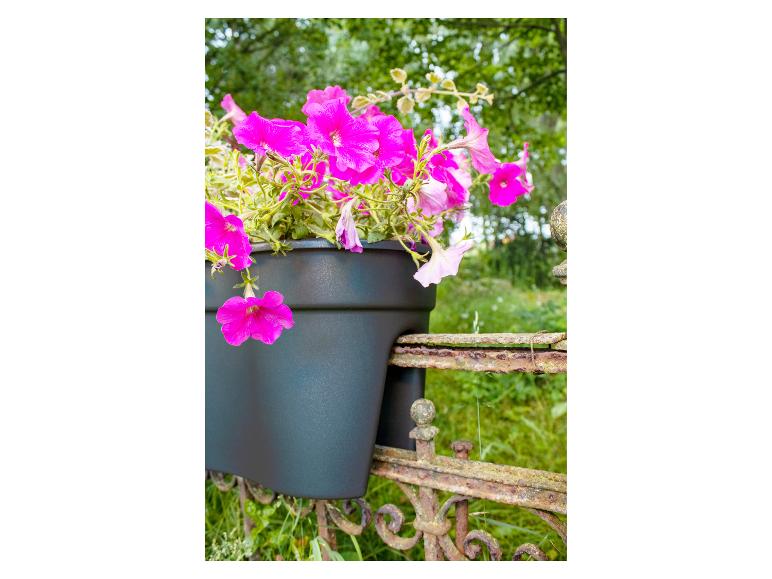emsa blumenkasten landhaus 50 cm wei Pluses Menorah  Rod & Flame