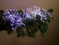 Lichterkette mit sternförmigen LED-Leuchten an einem Tannenzweig.