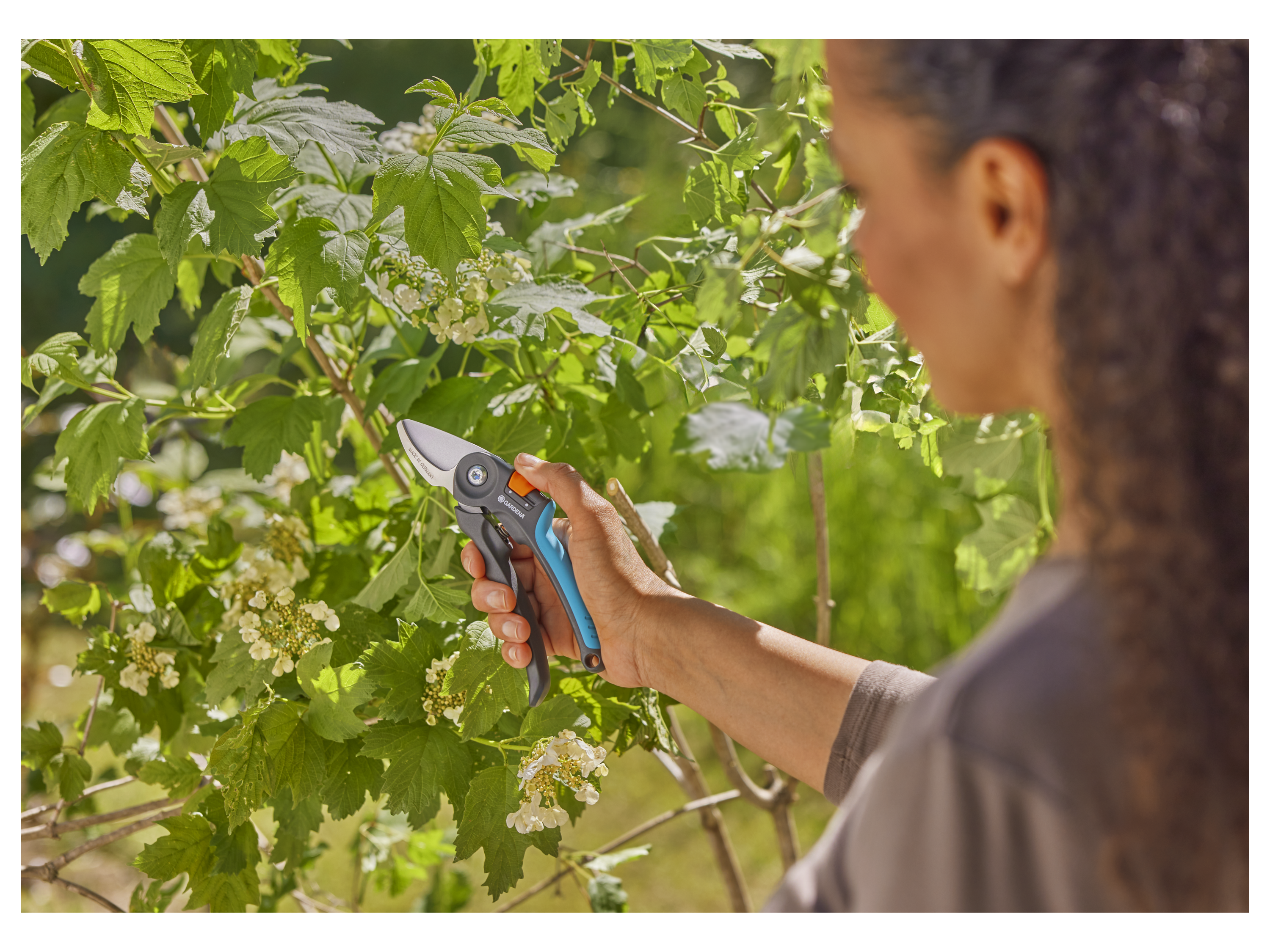 Thumbnail - Gardena Gartenschere »PremiumCut«, mit PowerCoating