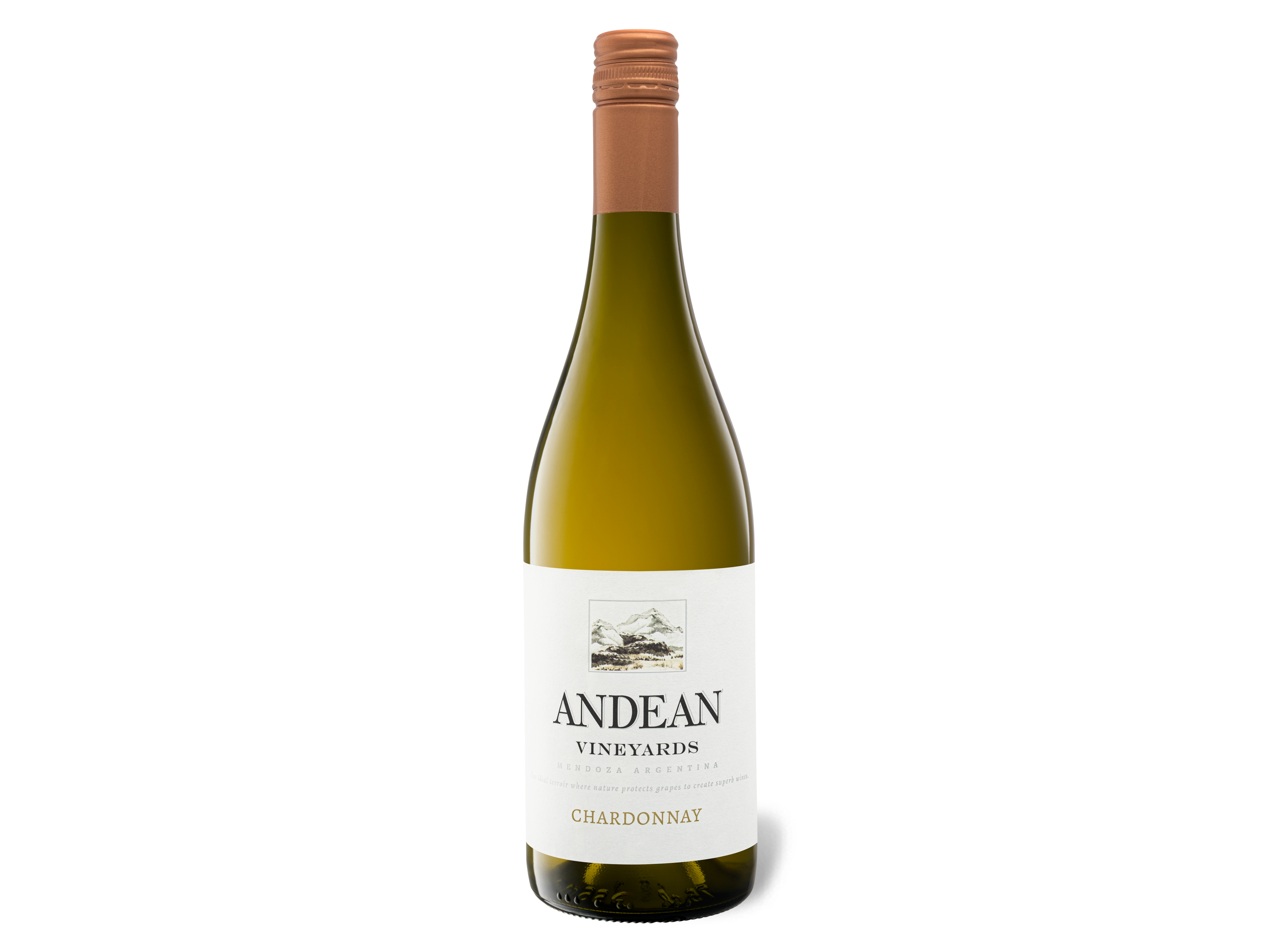 Andean Vineyards Chardonnay trocken, Weißwein 2022 Wein & Spirituosen Lidl DE