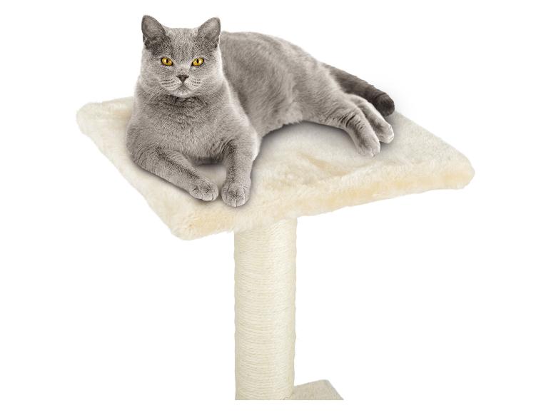 Graue Katze auf einem beigen Kratzbaum