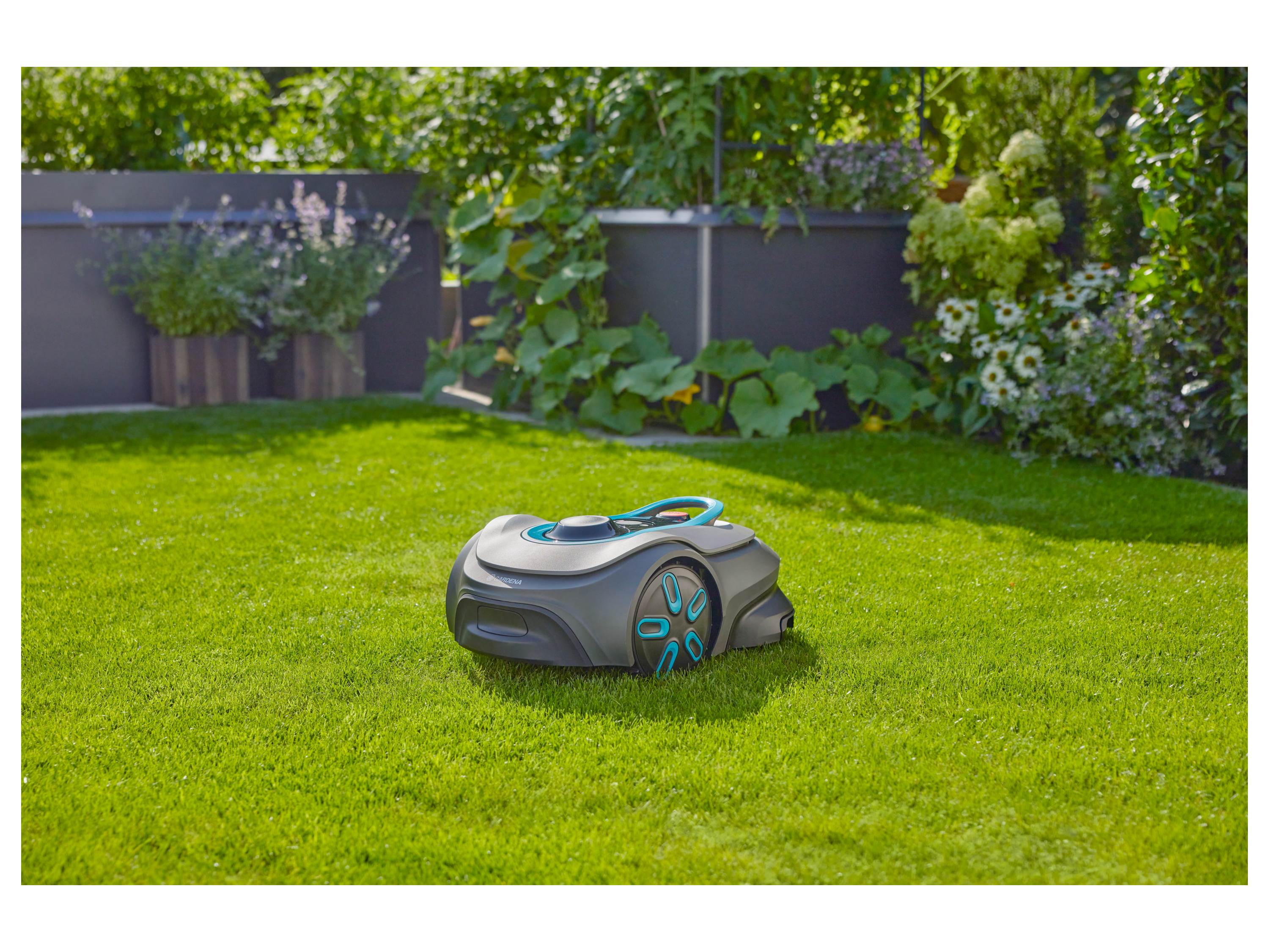 Thumbnail - Gardena Mähroboter »smart SILENO free«, 600 m² Set