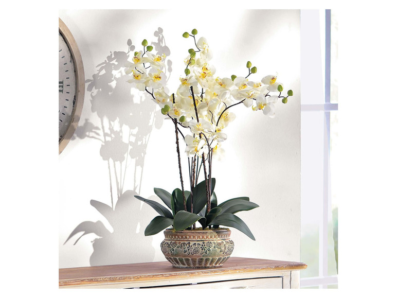 Gehe zu Vollbildansicht: Pureday Kunstpflanze »Orchideentopf«, täuschend echt - Bild 5