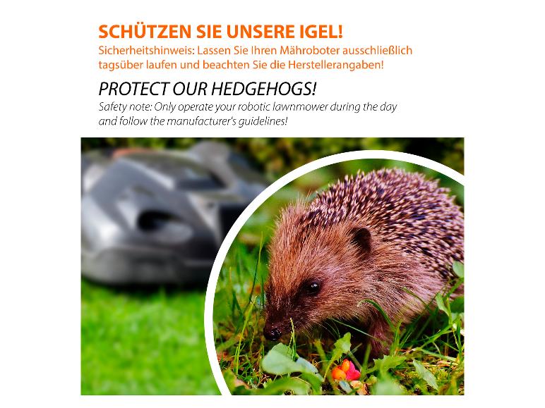 Ein Igel im Gras mit einem unscharfen Mähroboter im Hintergrund und Text zum Schutz von Igeln.