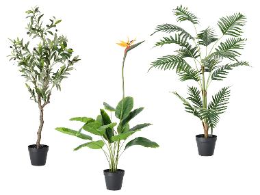 LIVARNO® Kunstpflanze Olivenbaum / Strelitzie / Palme