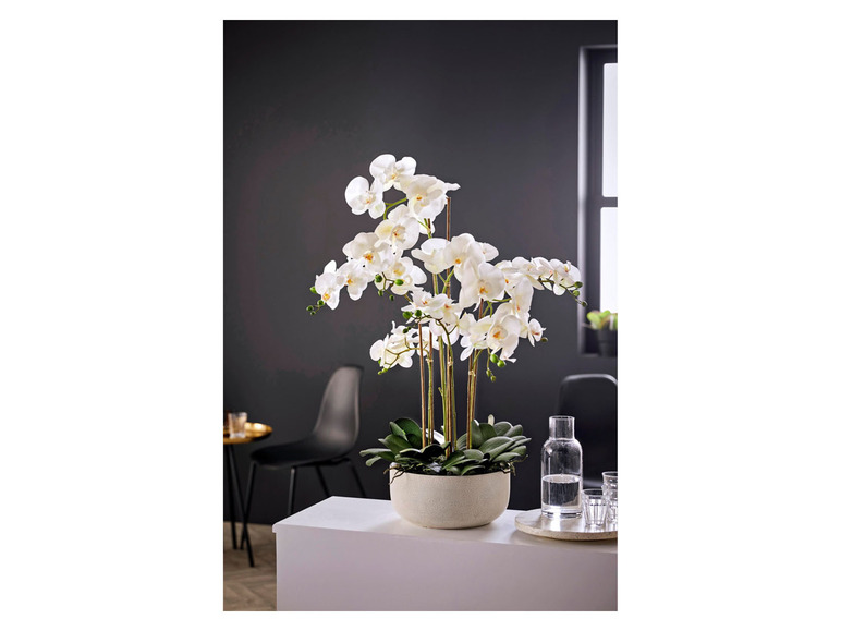 Gehe zu Vollbildansicht: Pureday Kunstpflanze »Orchideentopf«, mit prächtigen Blüten - Bild 2