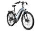 Graues E-Bike mit Gepäckträger, Schutzblechen und Vorderlicht.