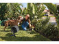 Frau mit Hund und tragbarem Ventilator gärtnert an einem sonnigen Tag.