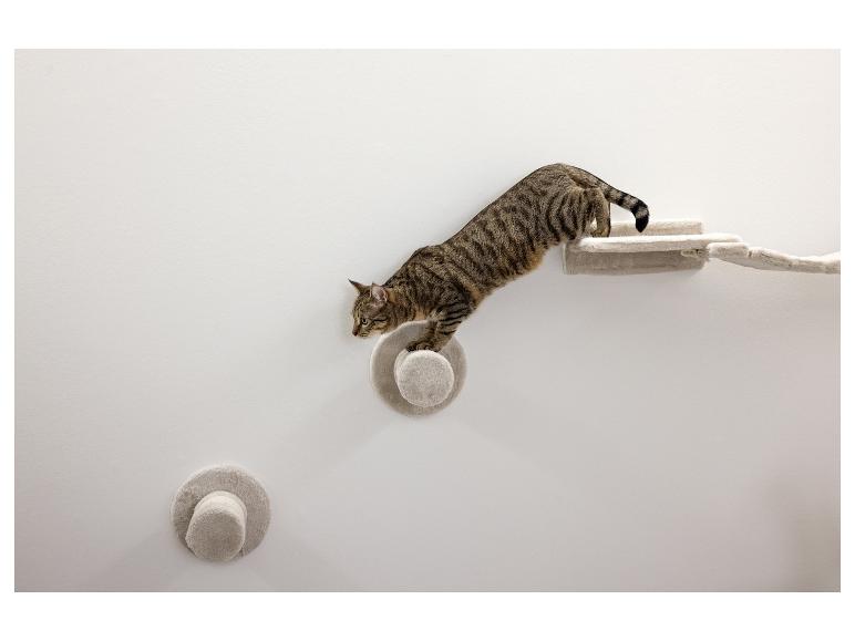 Getigerte Katze auf einer Wandtreppe für Katzen mit Plüschstufen und -plattformen.