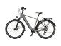 Graues E-Bike mit Gepäckträger und Schutzblechen, auf weißem Hintergrund.