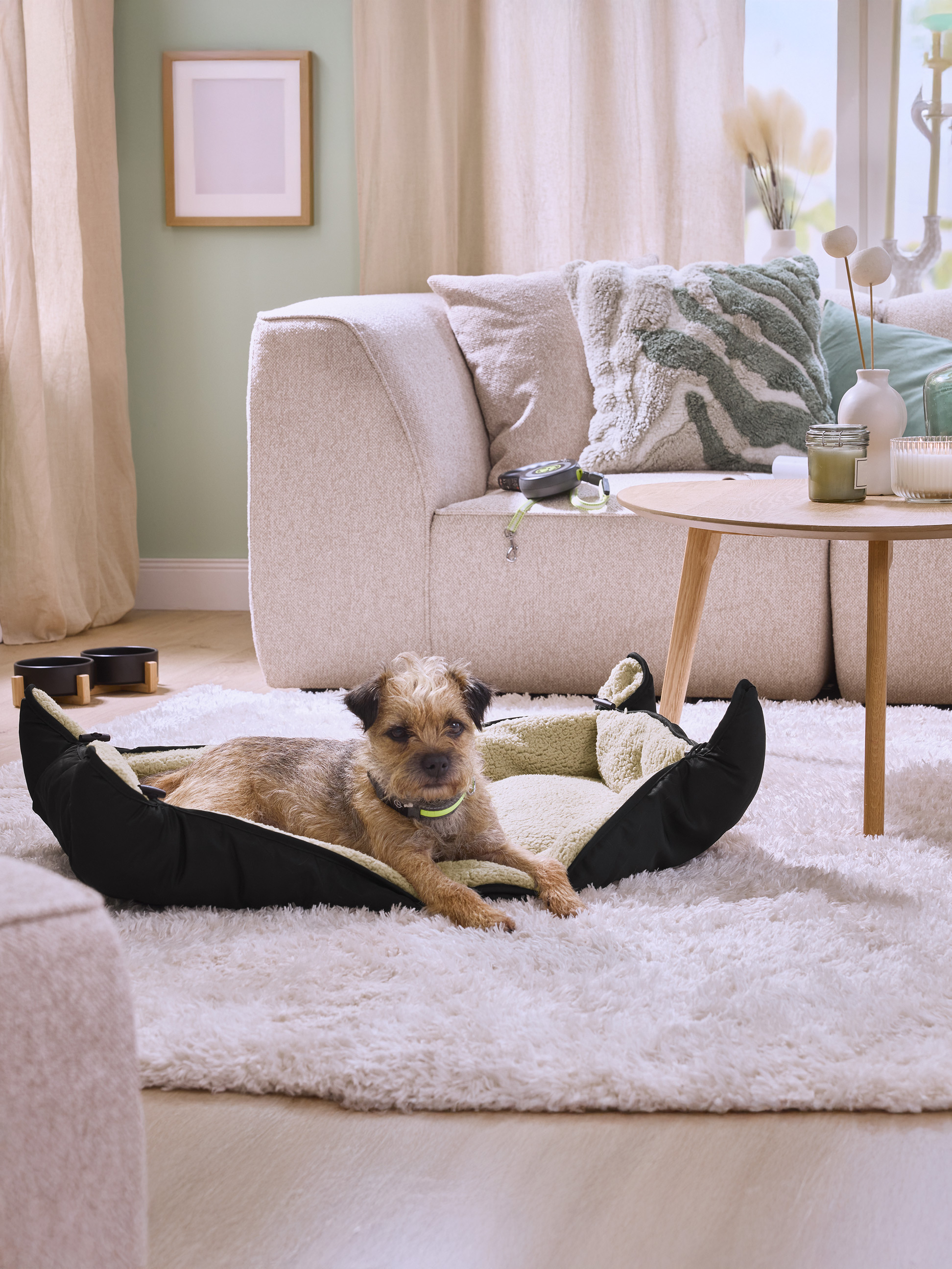 Hund in Hundebett, Sofa, Couchtisch und Futternäpfe in einem Wohnzimmer.