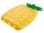 Aufblasbarer Ananas-Schwimmreifen, tropisches Design.