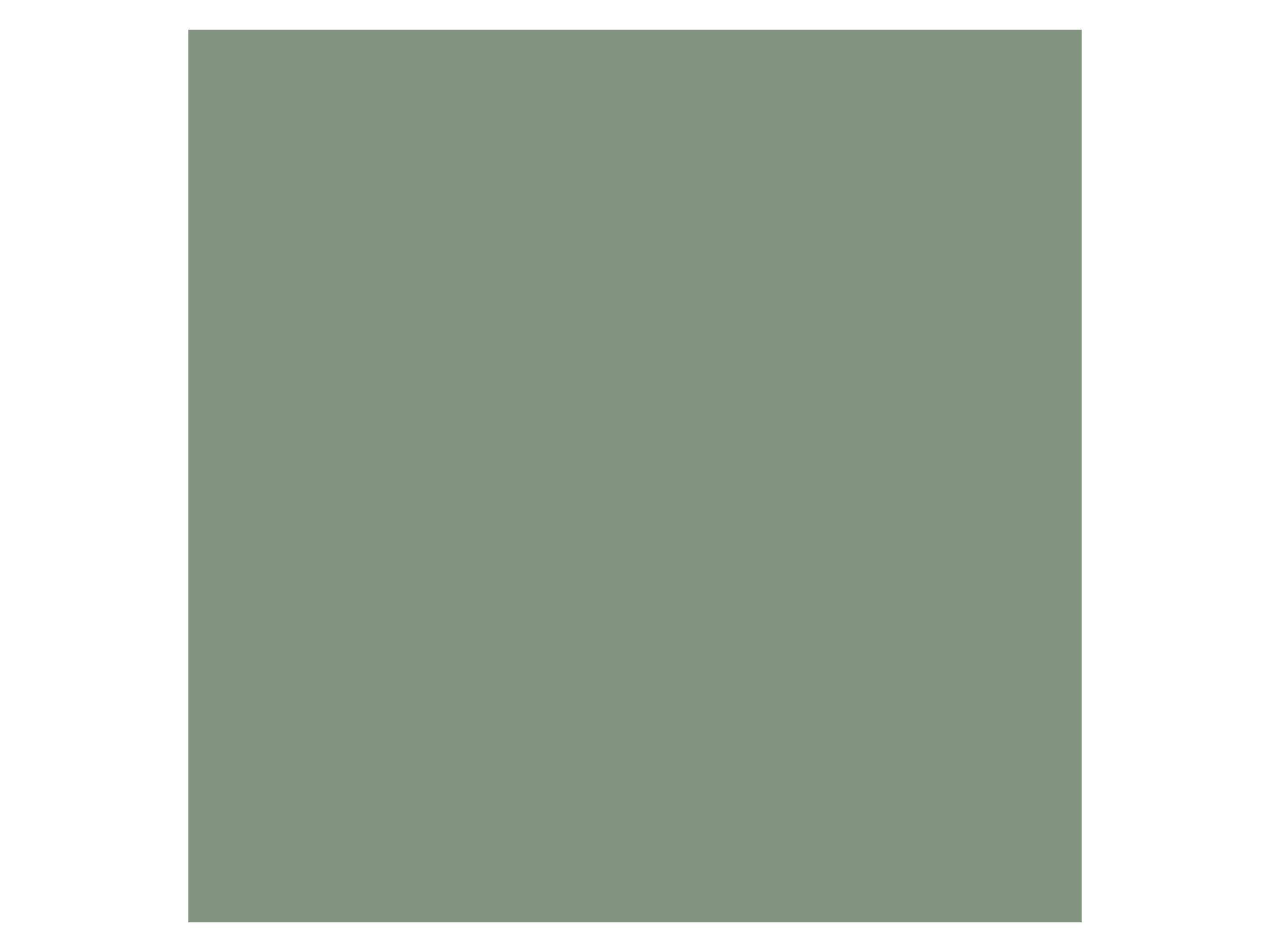 BIERBAUM Biber Spannbetttuch 1001 (30 salbei, 100 x 200 cm) – Bild 4 von 4