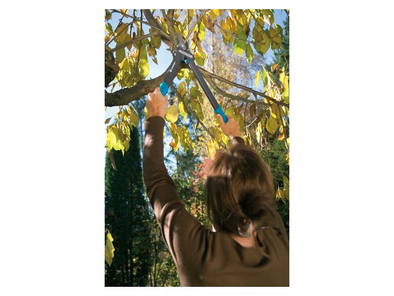 Frau schneidet einen Baum mit einer Gardena Gartenschere.