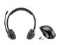 Schwarzes kabelloses Headset mit Mikrofon und kabellose Maus mit USB-Empfänger.