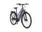 Graues City-E-Bike mit Gepäckträger und Vorderlicht.