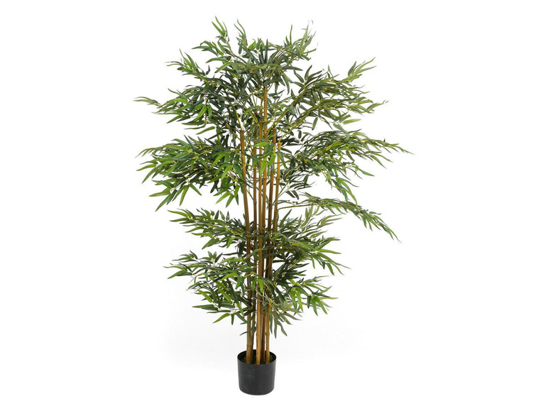Gehe zu Vollbildansicht: Pureday Kunstpflanze Bambusbaum, mit Naturstamm - Bild 1