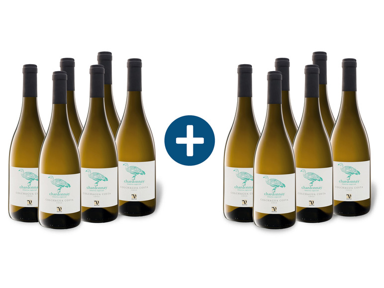 Gehe zu Vollbildansicht: 6+6 Paket VIAJERO Chardonnay Reserva Especial Colchagua Costa trocken, Weißwein - Bild 1