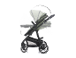 Grüner Kinderwagen mit umkehrbarem Sitz und verstellbarem Griff, auf weißem Hintergrund.