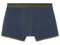 Blaue Boxershorts mit grünem Bund