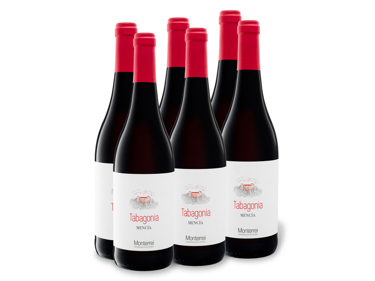 6 0,75-l-Flasche Monterrei Rotwein x Tabagonia DO, Mencía Weinpaket