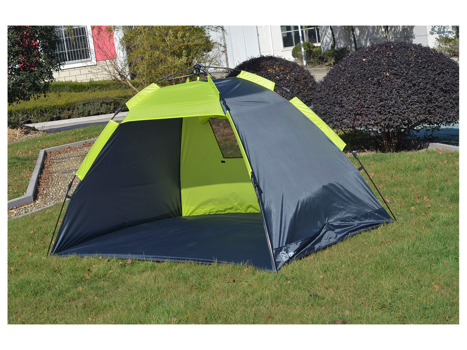 explorer pop up quick automatik strandmuschel