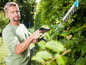 Ein Mann schneidet eine Hecke mit einer elektrischen Heckenschere.