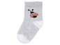 Graue Socke mit einem rosa Marienkäfer.