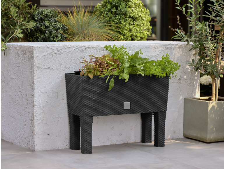 Schwarzes Hochbeet mit geflochtenem Muster, gefüllt mit grünem Blattgemüse auf einer Terrasse.