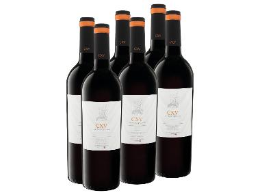 6 x 0,75-l-Flasche Weinpaket CXV Cientoquince Red Blend Argentinien trocken, Rotwein