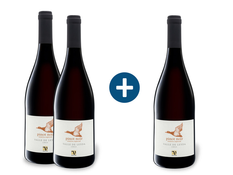 Gehe zu Vollbildansicht: 2 + 1 Paket VIAJERO Pinot Noir Chile Valle de Leyda trocken, Rotwein - Bild 1