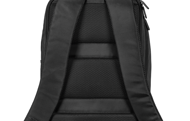 Rückansicht des Rucksacks mit Fokus auf die ergonomisch geformte Rückenpolsterung und die gepolsterten Schultergurte