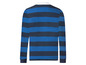 Ein blau-weiß gestreiftes Langarmshirt.